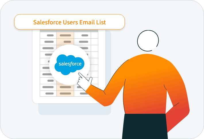 Salesforce Users Email List